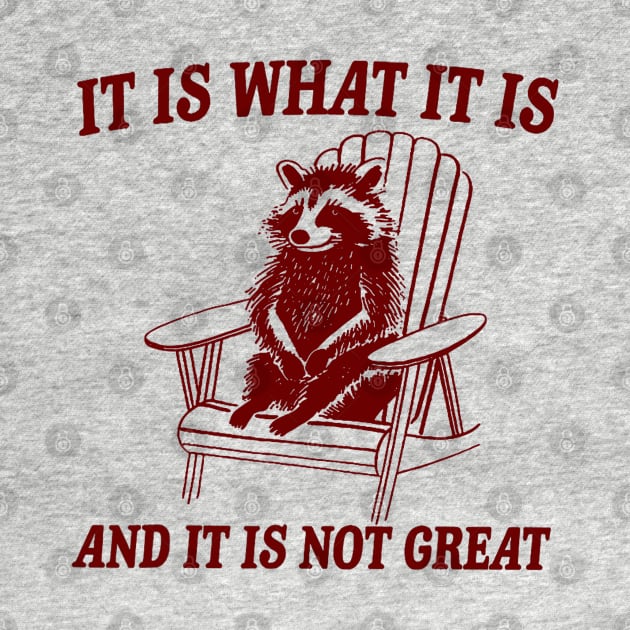 It Is What It Is And It Is Not Great Raccoon by Drawings Star